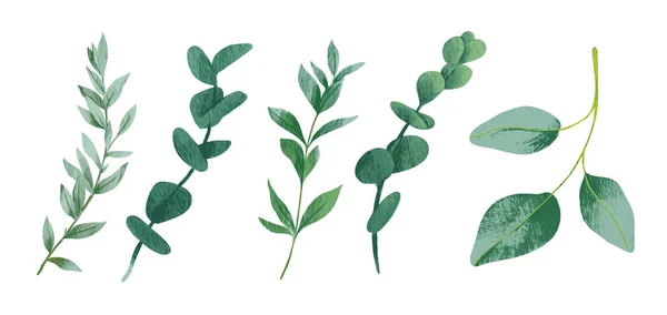 Коллекция зеленых элементов с пятью листьями — стоковый вектор