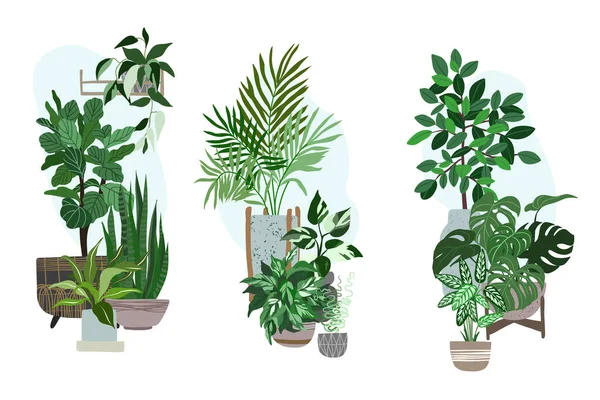 Drie huizen planten sets, potplanten tropische planten — Stockvector