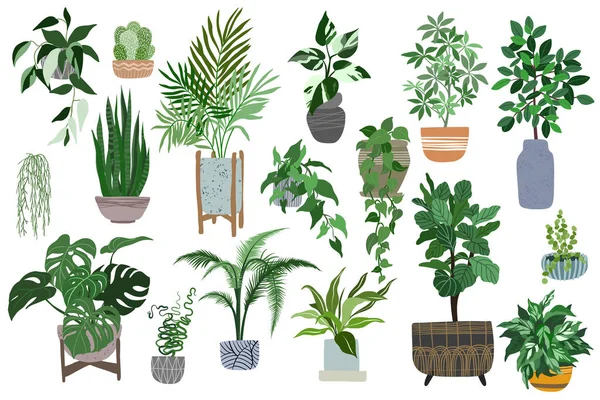 Grand ensemble de plantes maison dans des pots, style scandi — Image vectorielle