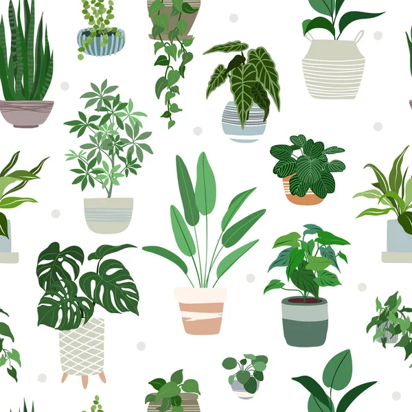 Plantes d'intérieur motif sans couture, dessiné à la main plat — Image vectorielle