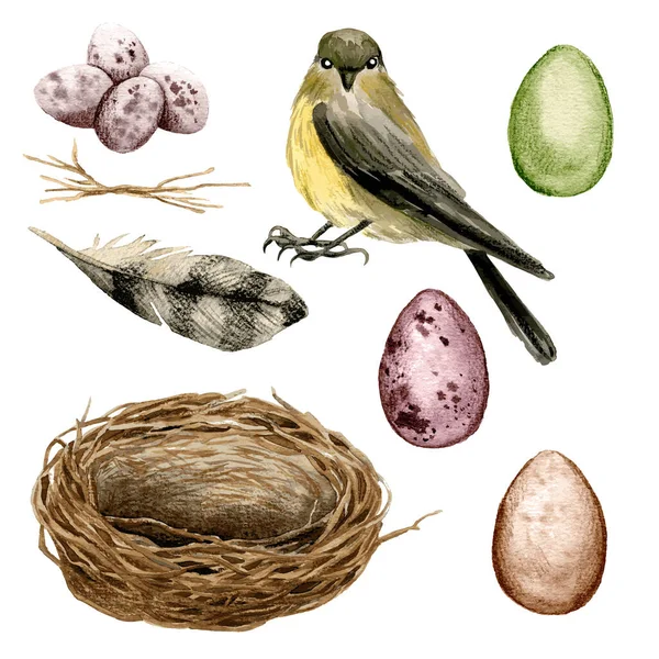 Pájaro con nido y huevos, decoración de Pascua — Archivo Imágenes Vectoriales