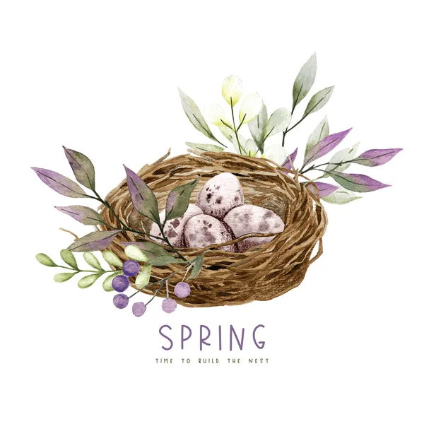 Бердское гнездо с яйцами, цветами и зеленью — стоковый вектор