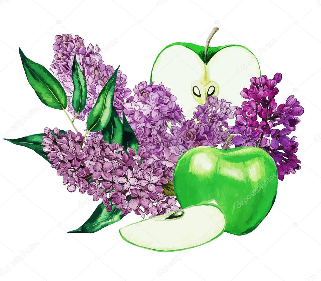 Bright composition with green apples and lilac 
