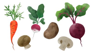 Sebze. El çizimi vektör illüstrasyonu.