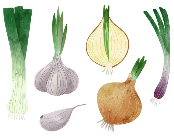 Vegetales. Ilustración vectorial dibujada a mano. — Vector de stock