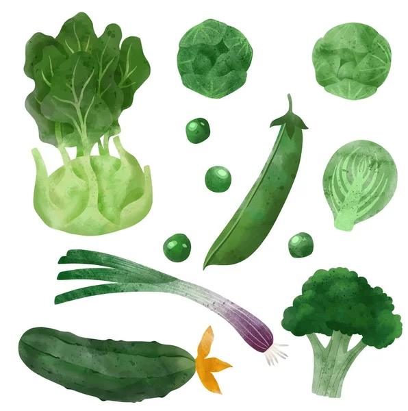 Des légumes. Illustration vectorielle dessinée main. — Image vectorielle