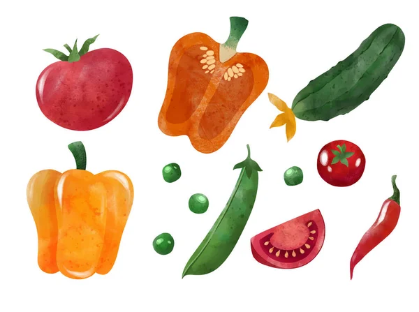 Veggies. Hand drawn vector illustration. — Διανυσματικό Αρχείο