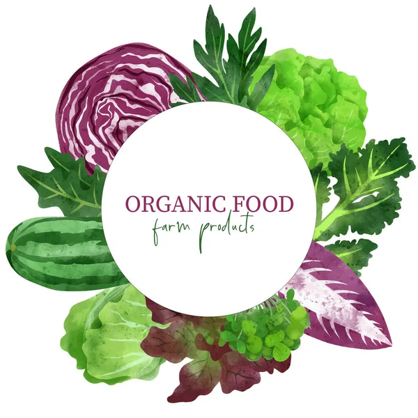 Verano veggies banner, ilustración de acuarela vector dibujado a mano — Vector de stock