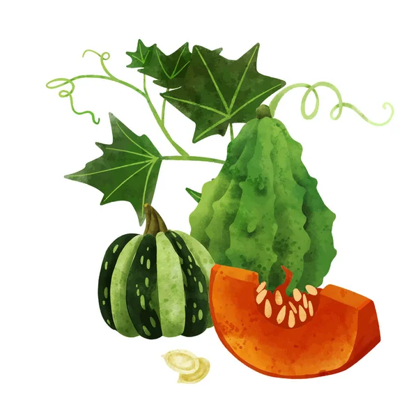 Légumes, composition de la récolte d'été, vecteur dessiné à la main — Image vectorielle