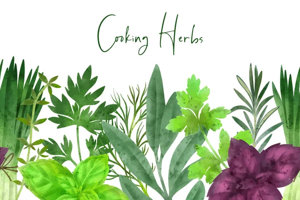 Bordo senza cuciture composto da verdure fresche ed erbe aromatiche — Vettoriale Stock