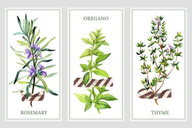 Yabani otlar ve bant ile üç dikey pankart