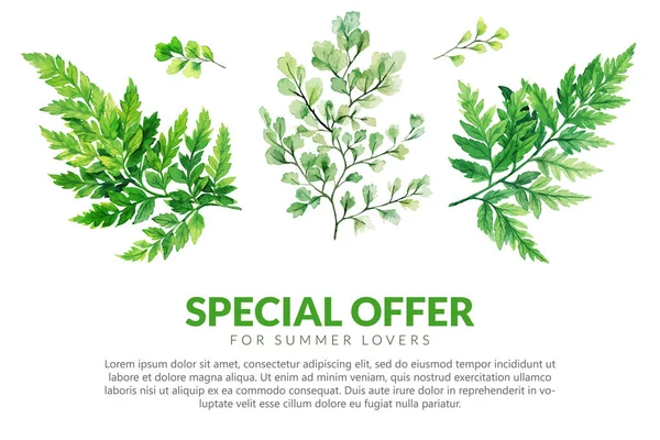 Gran pancarta de verano con helechos del bosque verde — Vector de stock