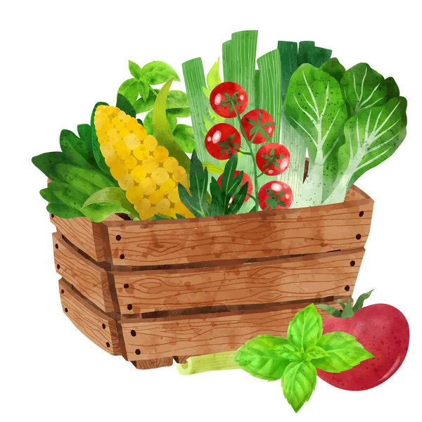 Νωπά λαχανικά σε ξύλινο κουτί, χειροποίητα διανυσματικά — Διανυσματικό Αρχείο