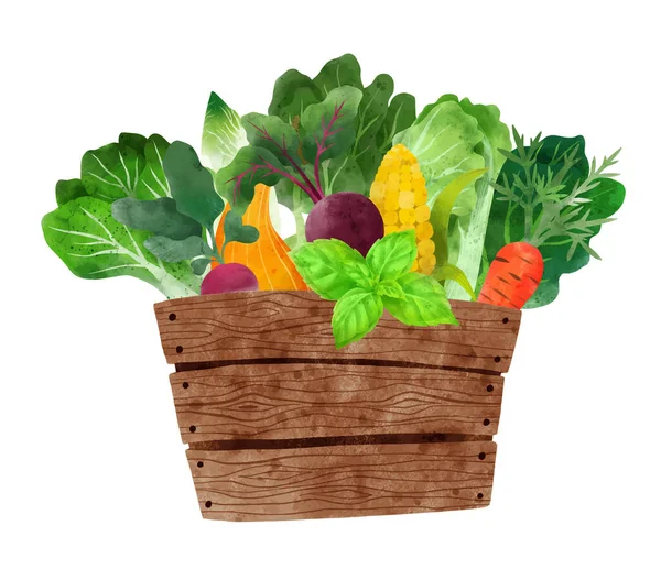 Verse groenten in houten doos, handgetekende vector — Stockvector