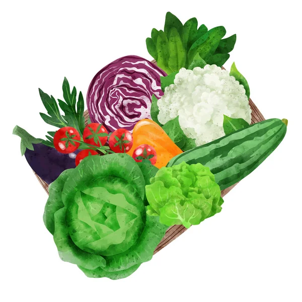 Fresh veggies in wooden box, hand drawn vector — Stock Vector
