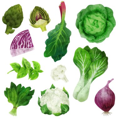 Enginarlı suluboya sebzeler karnabahar ve pak choi