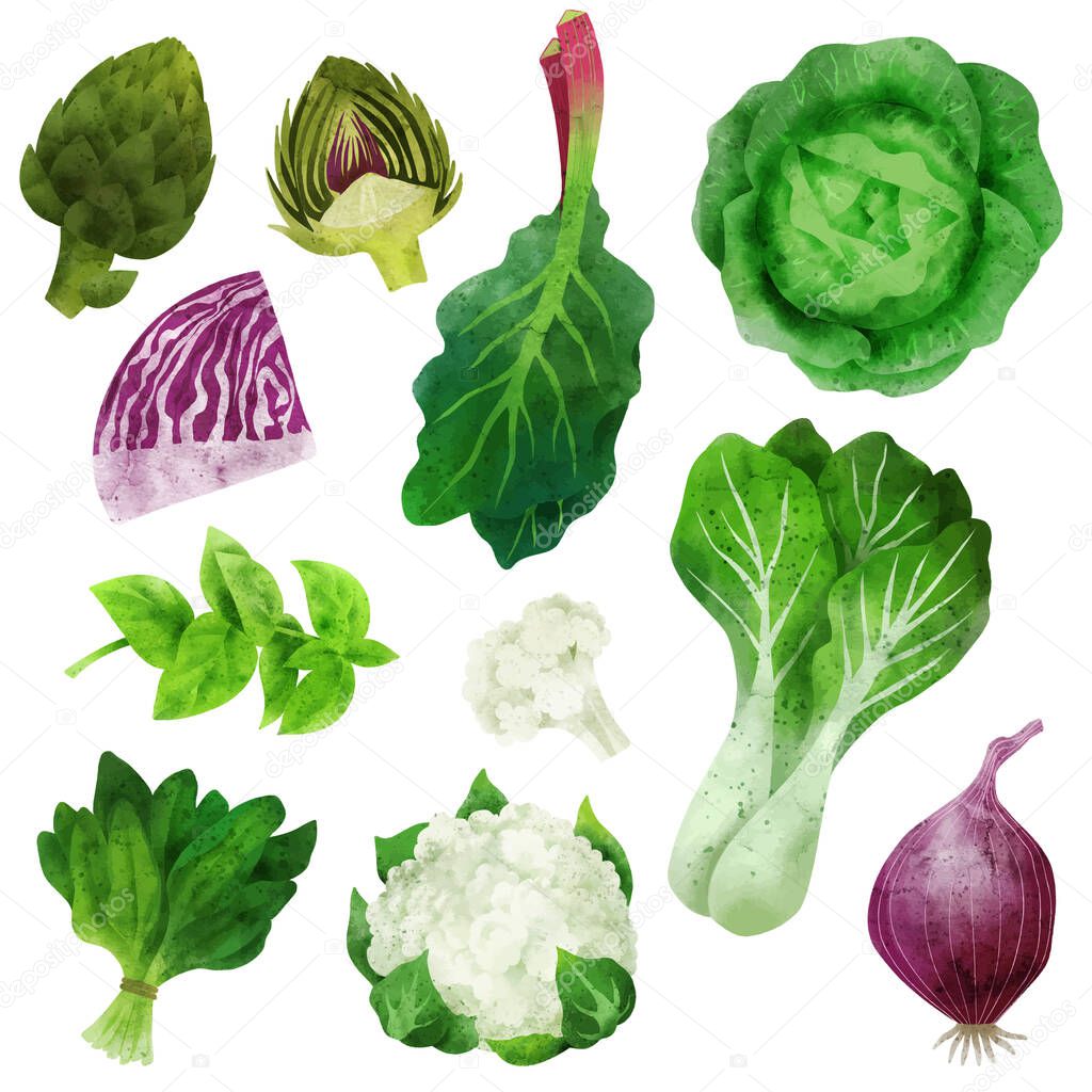 Watercolor veggies with artichokes cauliflower and pak choi