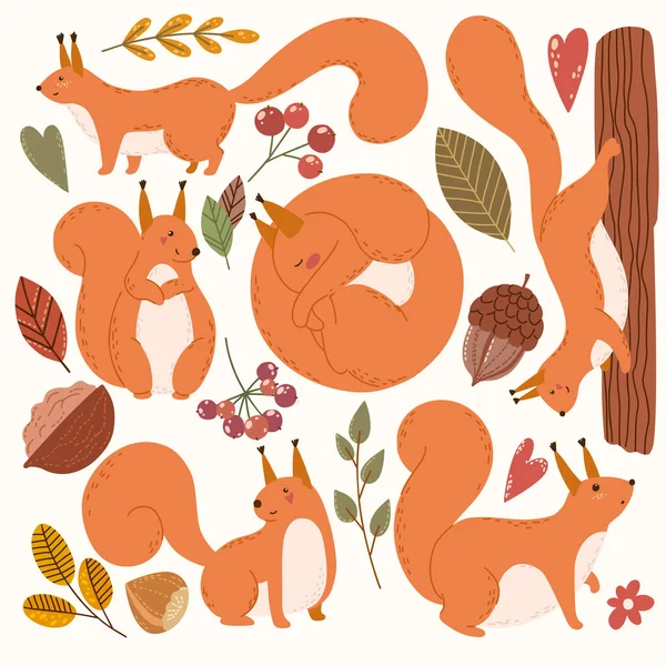 Niedliche Eichhörnchen und herabfallende Cliparts, handgezeichnet — Stockvektor