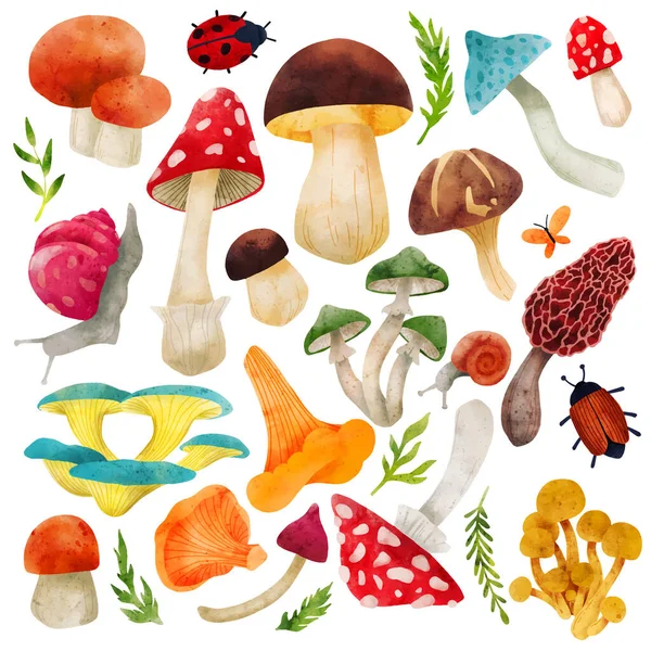 Lesní houby, ručně kreslené vektorové akvarel ilustrace — Stockový vektor