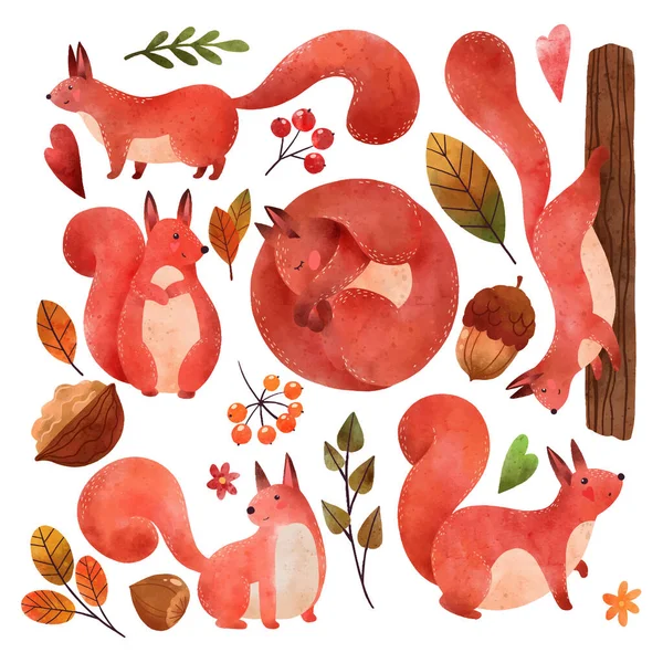 Podzimní nálada, lesní veverky, ručně kreslený vektor — Stockový vektor