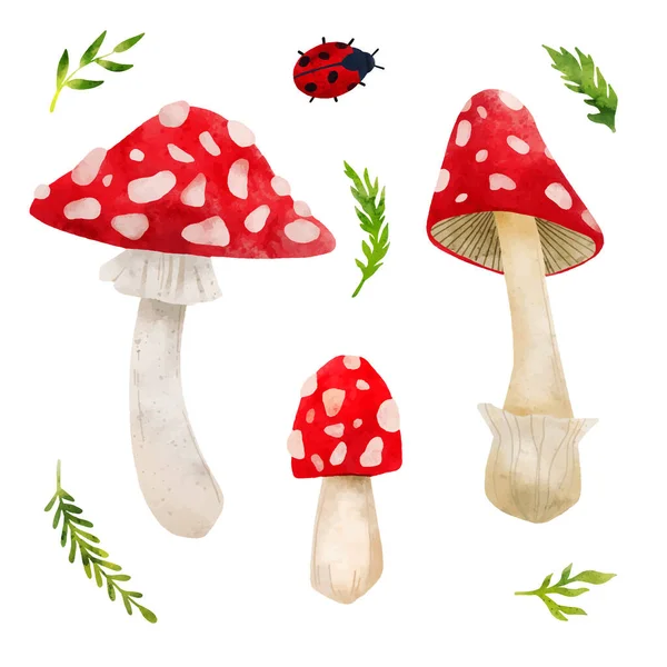 Lesní houby, ručně kreslené vektorové akvarel ilustrace — Stockový vektor