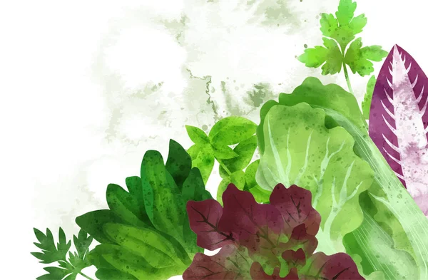 Verano veggies banner, ilustración de acuarela vector dibujado a mano — Archivo Imágenes Vectoriales