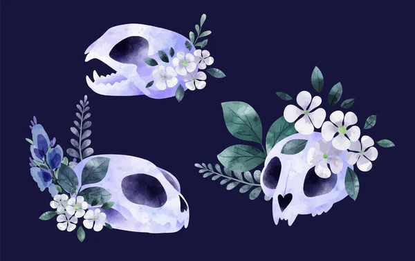 Três crânio de gato com flores, desenho bonito dos desenhos animados — Vetor de Stock