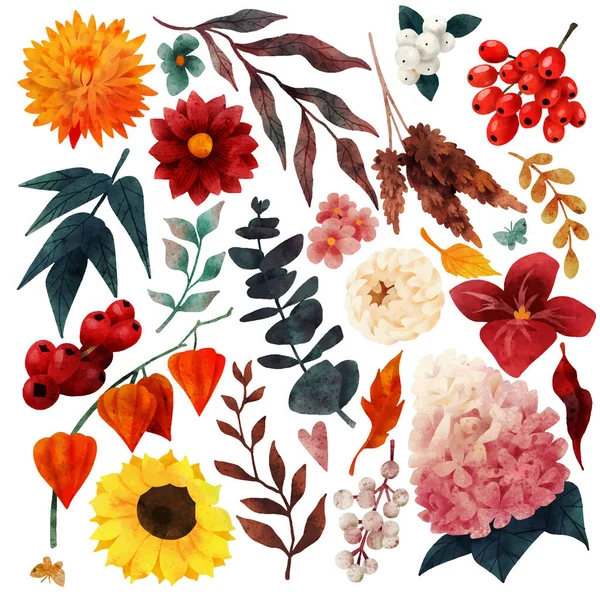 Elementi floreali autunnali, giardino d'autunno, vettore disegnato a mano — Vettoriale Stock