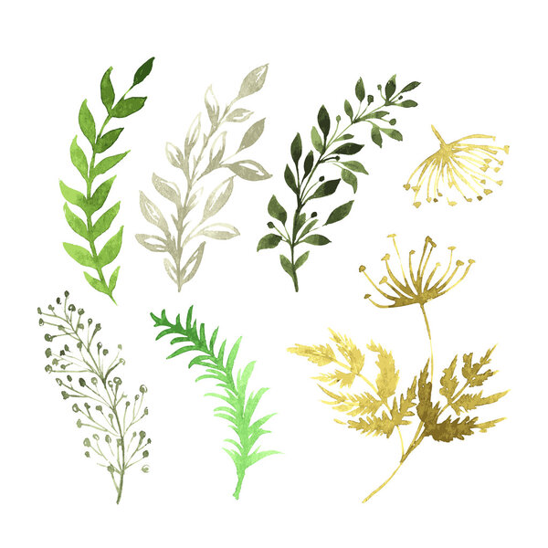 Векторный набор цветов, раскрашенных акварелью на белой бумаге. Эскиз цветов и трав. Векторная акварель
