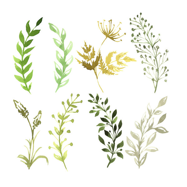 Векторный набор цветов, раскрашенных акварелью на белой бумаге. Эскиз цветов и трав. Векторная акварель
