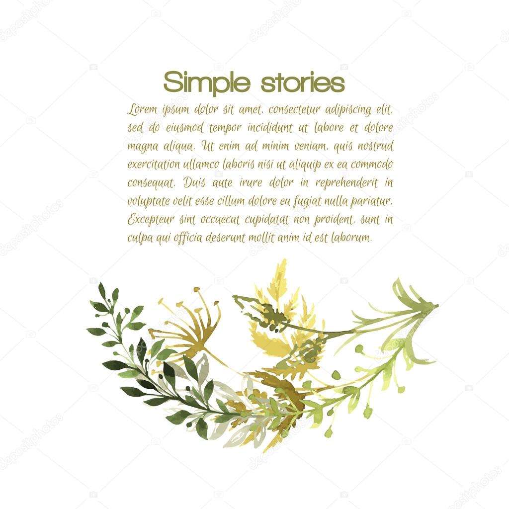 Watercolor herbs and flowers, vector background.