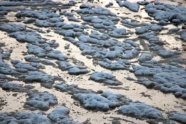 Ice floating on sea water at sunset — Stock Photo, Image