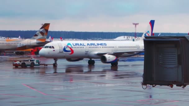 Москва, Російська Федерація - 27 лютого 2016: Airbus A319 Уральські авіалінії буксирування на міжнародного аеропорту Домодєдово. Кількість пасажирів, перевезених Авіакомпанія увійшов в 6-е місце Росії в 2014 році — стокове відео