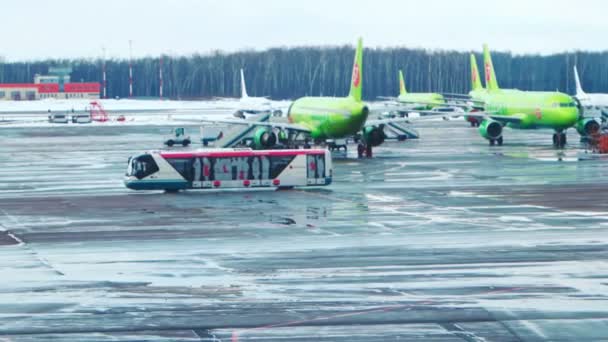 Moskva, Ryssland, 27 februari 2016: Visa pendelbuss och S7 flygplan på Domodedovo största flygplatsen i Ryssland. — Stockvideo