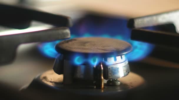 Fiamme blu di gas che bruciano in una cucina a gas. Focus selettivo . — Video Stock