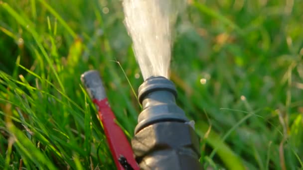 Gartensprenger im Frühlingsrasen — Stockvideo