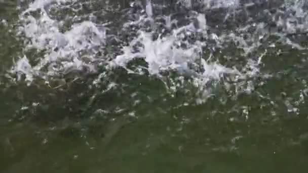 Superficie de agua con gotas caídas — Vídeos de Stock
