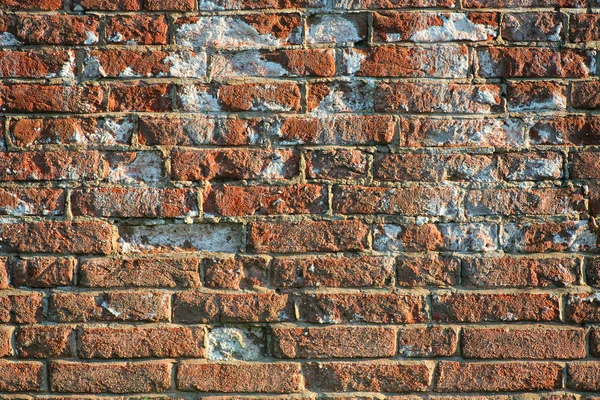 Textura de pared de ladrillo marrón — Foto de Stock