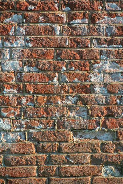 Aged red brick wall — Stock Photo, Image