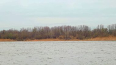 Sonbahar nehir banka ağaçları ile