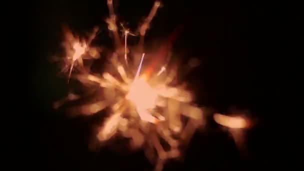 Holiday sparkler on dark — Stock Video