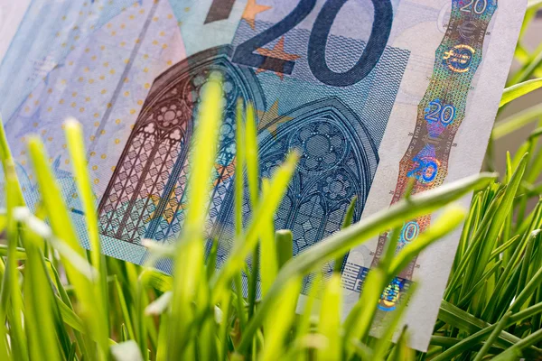 Billet de 20 euros en herbe — Photo