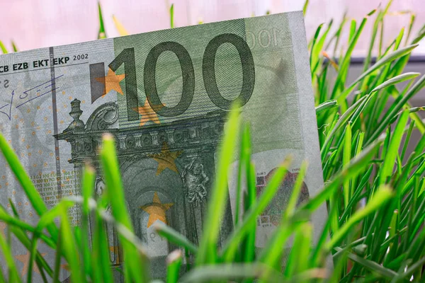 Yüz euro fatura çim — Stok fotoğraf