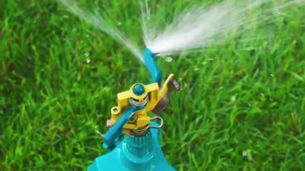 Garten Sprinkler Zeitlupe Draufsicht — Stockvideo