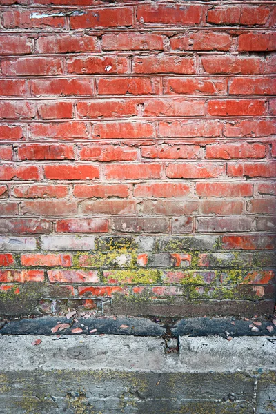 Alte rote Ziegelwand vertikale Struktur mit einem Teil des Betonkellers darunter — Stockfoto