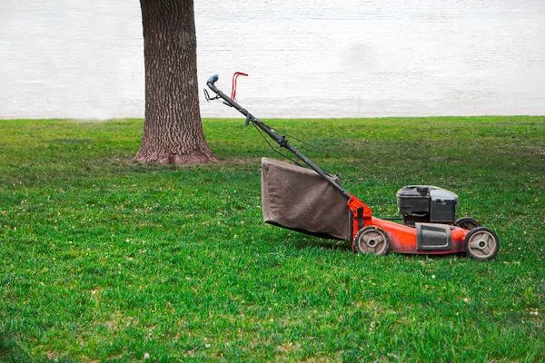 Lawnmower on grass in the garden, tree and white wall on background, a lot of space for text — Stock Photo, Image