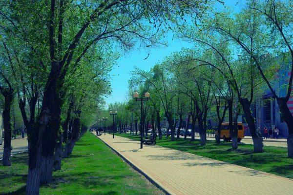 Parque camino pavimentado, bancos, farolas en el día de primavera —  Fotos de Stock