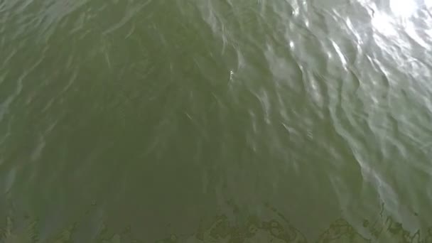 Slomo de vista superior de superfície de água verde. Flares de sol de água espumante disparados a 120fps câmera lenta . — Vídeo de Stock