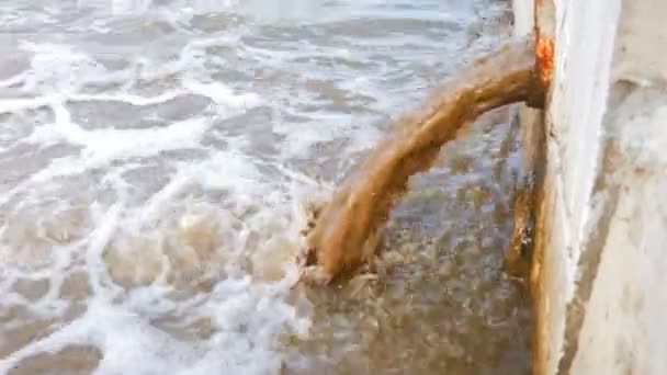 Abwasser fließt aus einer Pipeline direkt in einen Naturteich — Stockvideo