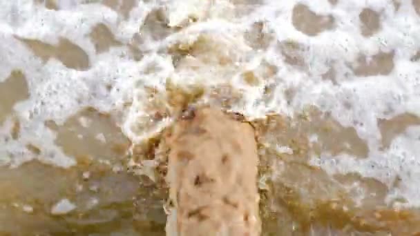 Blick von oben auf den Abfluss trägt Abwasser — Stockvideo